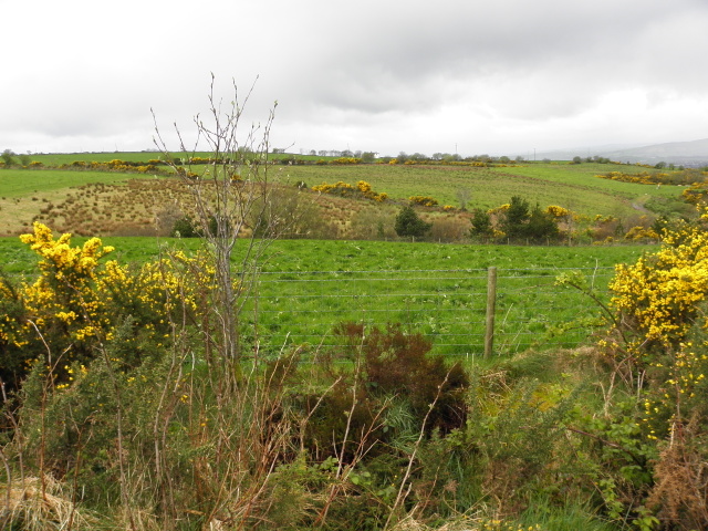 Cavanalee Townland © Kenneth Allen :: Geograph Ireland