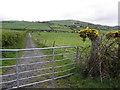 Closed gate and lane, Cavanalee