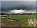 Farmland near Laverockhall