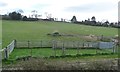 Sheep pasture on the south side of the River Esk