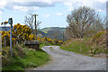 Track to Nant-byr-uchaf farm