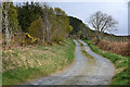 Track contouring the south side of Mynydd Bach