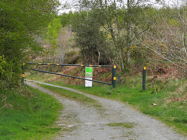 Forestry entrance