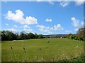 Football Pitch, Hampden Park sports park