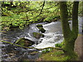 Cascades at Golitha Falls on the River Fowey