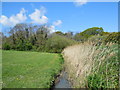 Stream in Hampden Park Sports Park