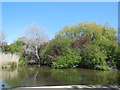 Decoy Pond, Hampden Park