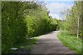 Path in Grassmoor Country Park