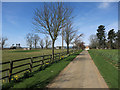 Footpath to Henham Lodge