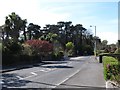 Bryansford Avenue approaching the junction with Bryansford Road