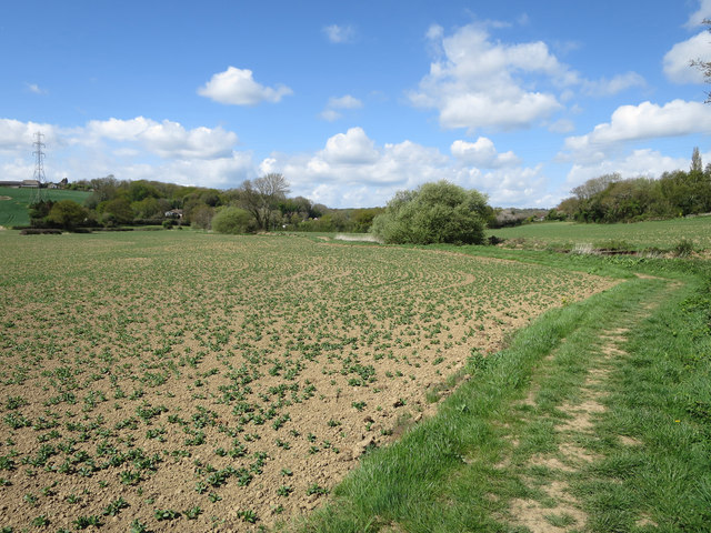 1066 Country Walk - Bexhill Link