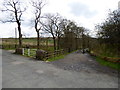 Track (public footpath) at Lower Black Moss