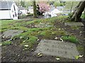 Grave of Ben Lomond The Seagull