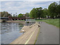 The River Trent near Wilford Bridge,