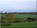 Stripes in the fields