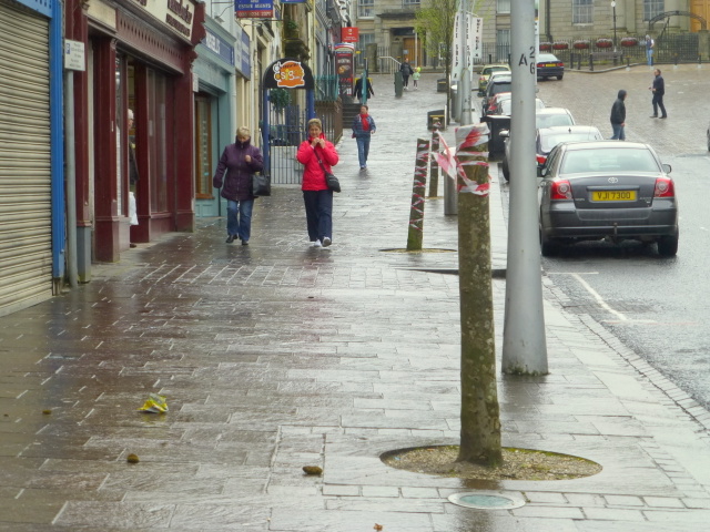 Trees being replaced along High Street, Omagh
