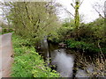 Afon Marlas near Waunfarlais Road, Llandybie