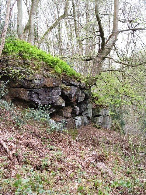 Rock outcrop in East Arnecliff Wood
