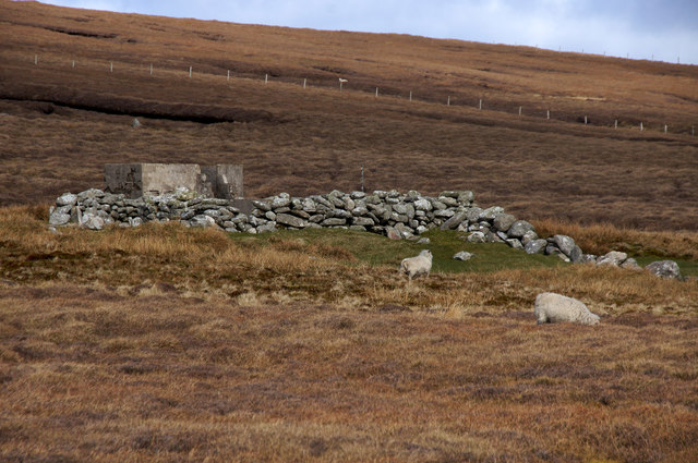 Sheepfold beside the Burn of Dalamut, near West Sandwick