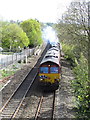 Railtour at Cullompton