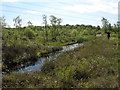 Commonhead Moss LNR