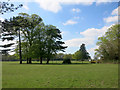 SU7166 : Parkland at Spencers Wood by Des Blenkinsopp