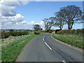 Twisty road towards Acklington 