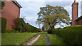 Bridleway to Eaves Green Farm