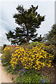 Coronation Garden, Forty Hall, Enfield