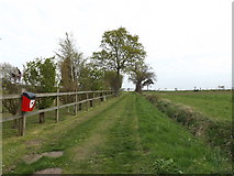 TM3674 : Path off the B1117 Halesworth Road by Geographer