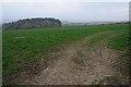 Farmland near West Stone