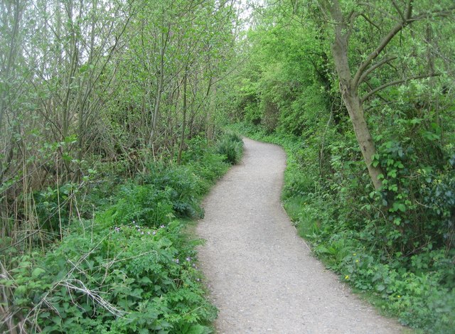 path-around-fleet-pond-fernweh-geograph-britain-and-ireland