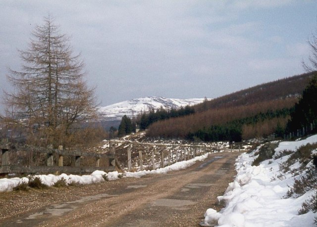 The road down Glen Muick