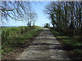 Minor road towards  Warkworth Moor