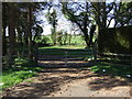 NU1802 : Gated track. Old Felton by JThomas
