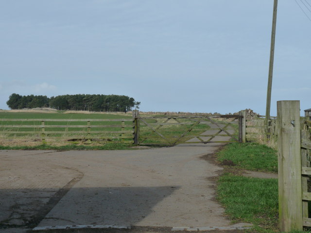 Path to Dunstan Steads from Dunstan Square