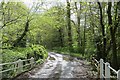 Cockspur Coppice