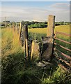 Gate near Buxton