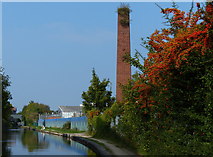 SP3380 : Chimney along the Coventry Canal towpath by Mat Fascione