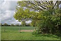 Stile Near Sudbury