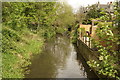 View of the River Lea from Thornton Street #2