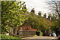 View of houses on Thornton Street