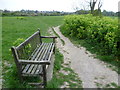 Path and seat at Hawkshill Freedown