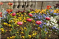 A marvellous display of roses, pansies and petunias on Mill Bridge