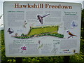 Information board at Hawkshill Freedown