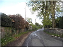 SU6979 : Wood Lane, Kidmore End by David Howard