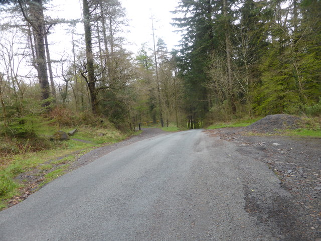 The forest road joins the tarmac road