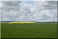 Farmland off Bartindale Road