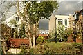 View of the rear of houses on the River Lea from the Lea towpath #4