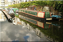 TL3213 : View of a narrowboat moored on the River Lea #2 by Robert Lamb